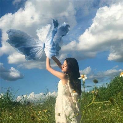 宝窗选婿海报